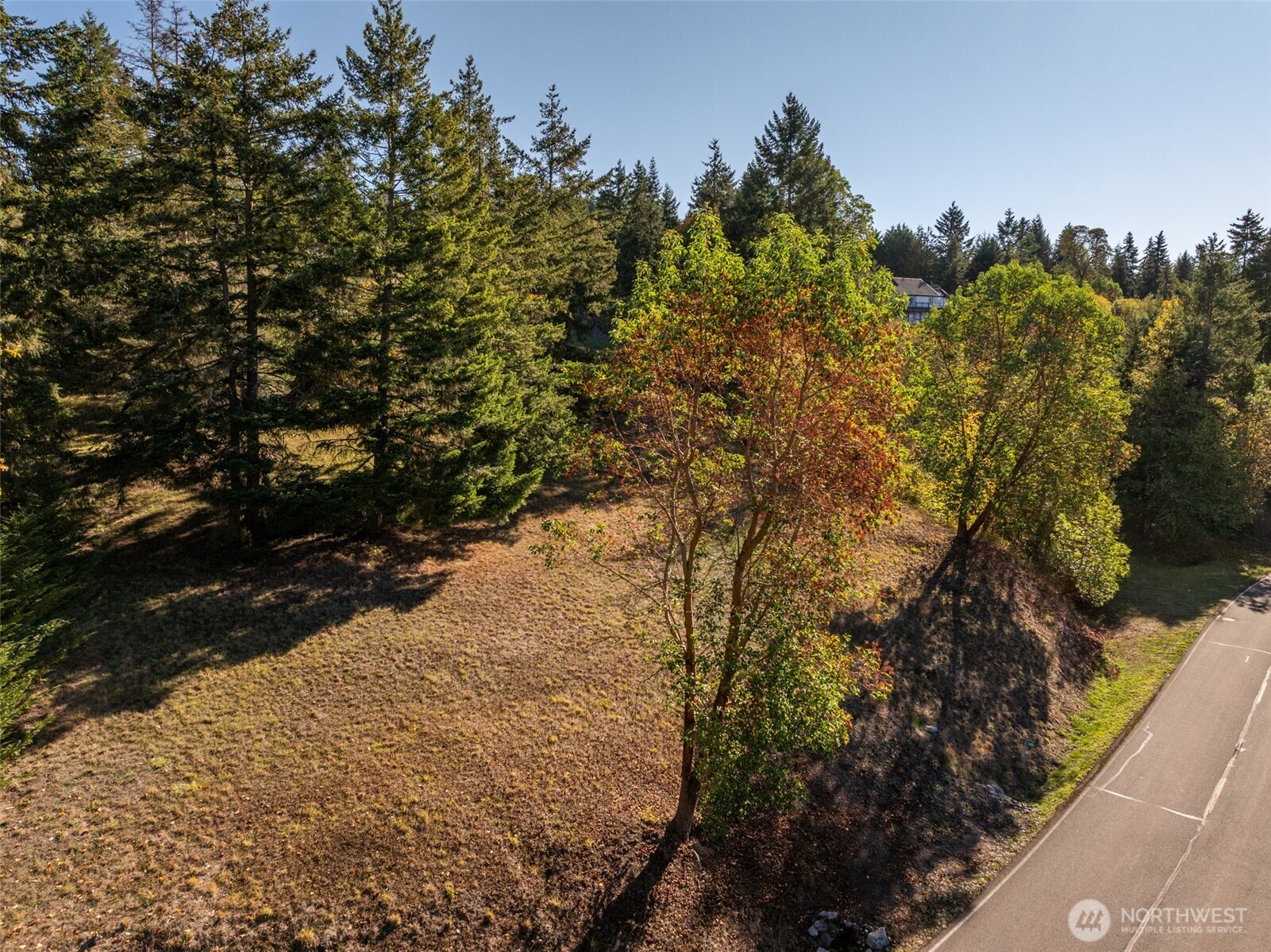 1051 Fox Hollow Road Property Photo 17