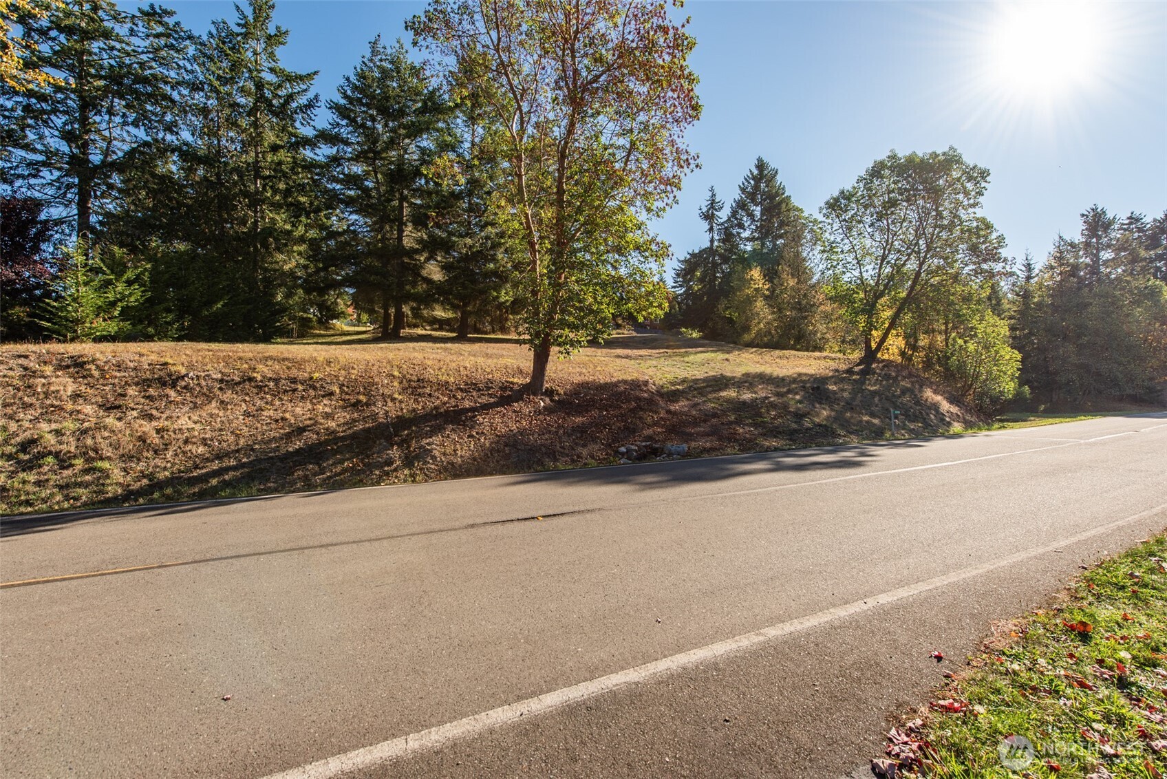 1051 Fox Hollow Road Property Photo 19