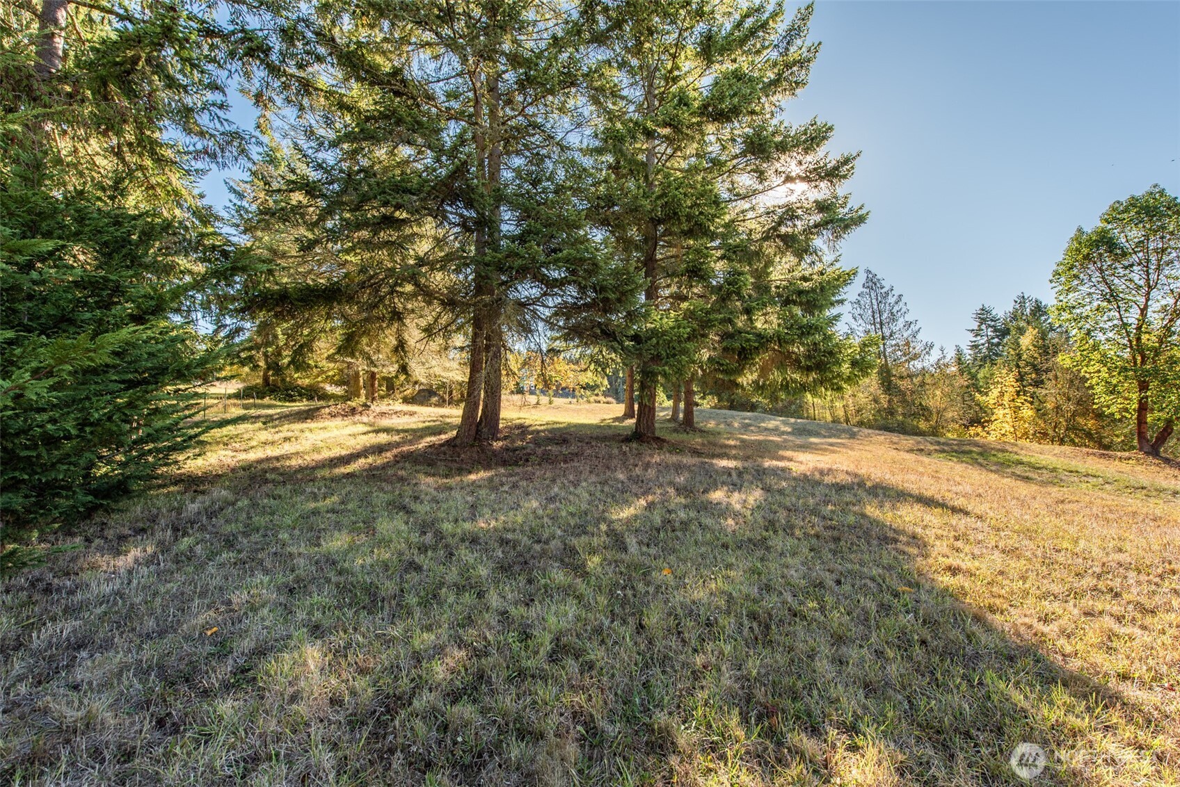 1051 Fox Hollow Road Property Photo 21