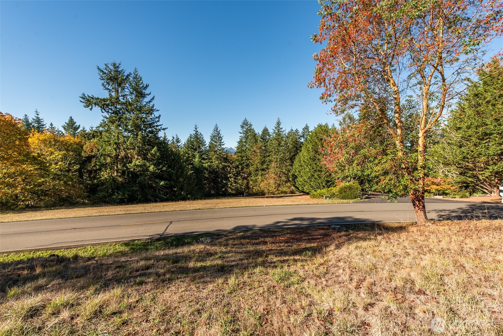 1051 Fox Hollow Road Property Photo 22