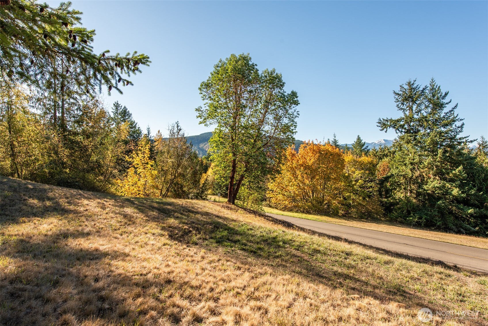 1051 Fox Hollow Road Property Photo 36