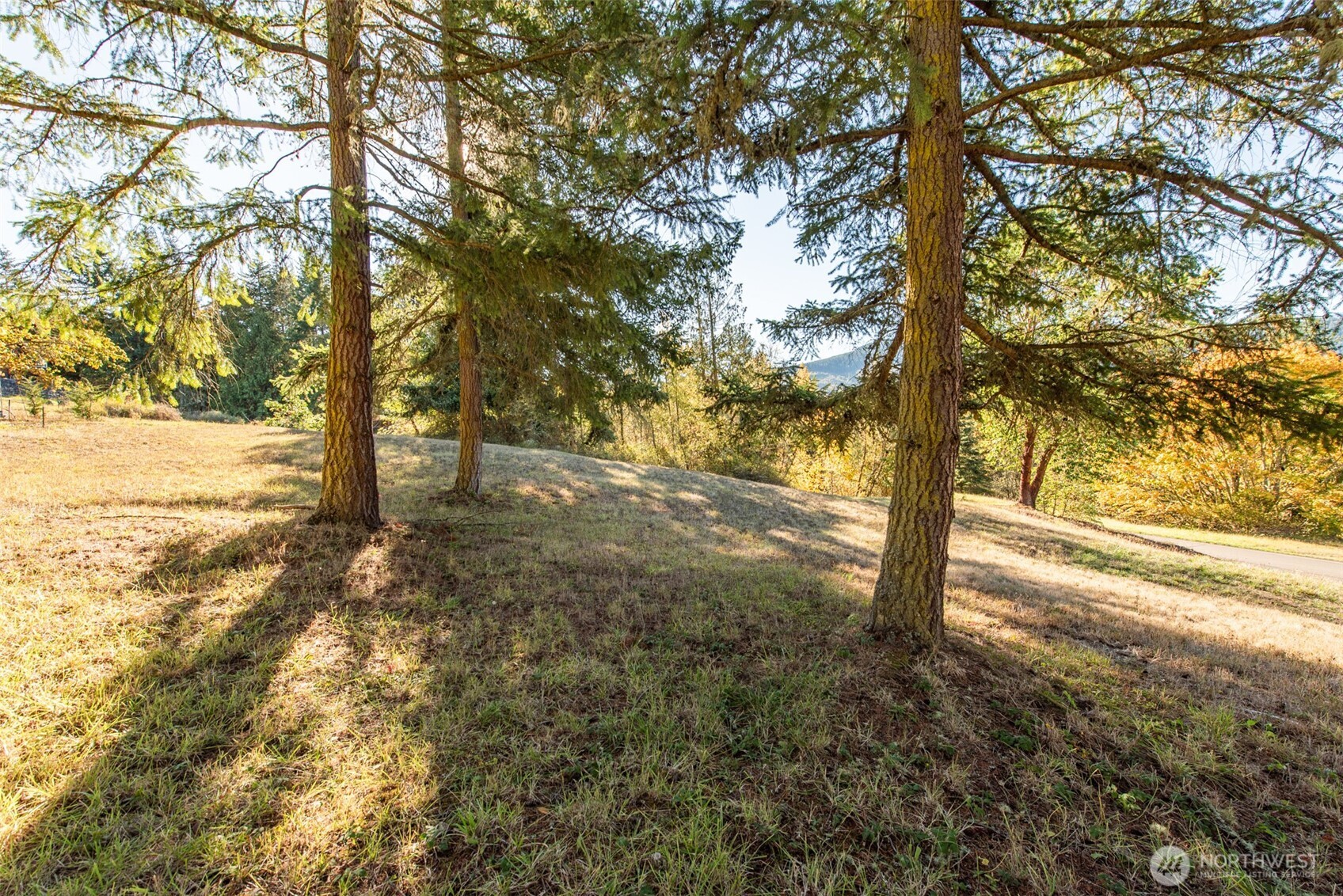 1051 Fox Hollow Road Property Photo 37