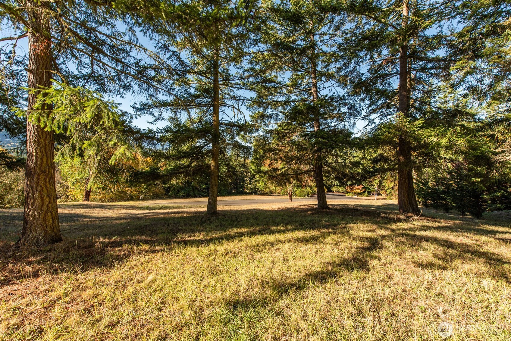 1051 Fox Hollow Road Property Photo 38
