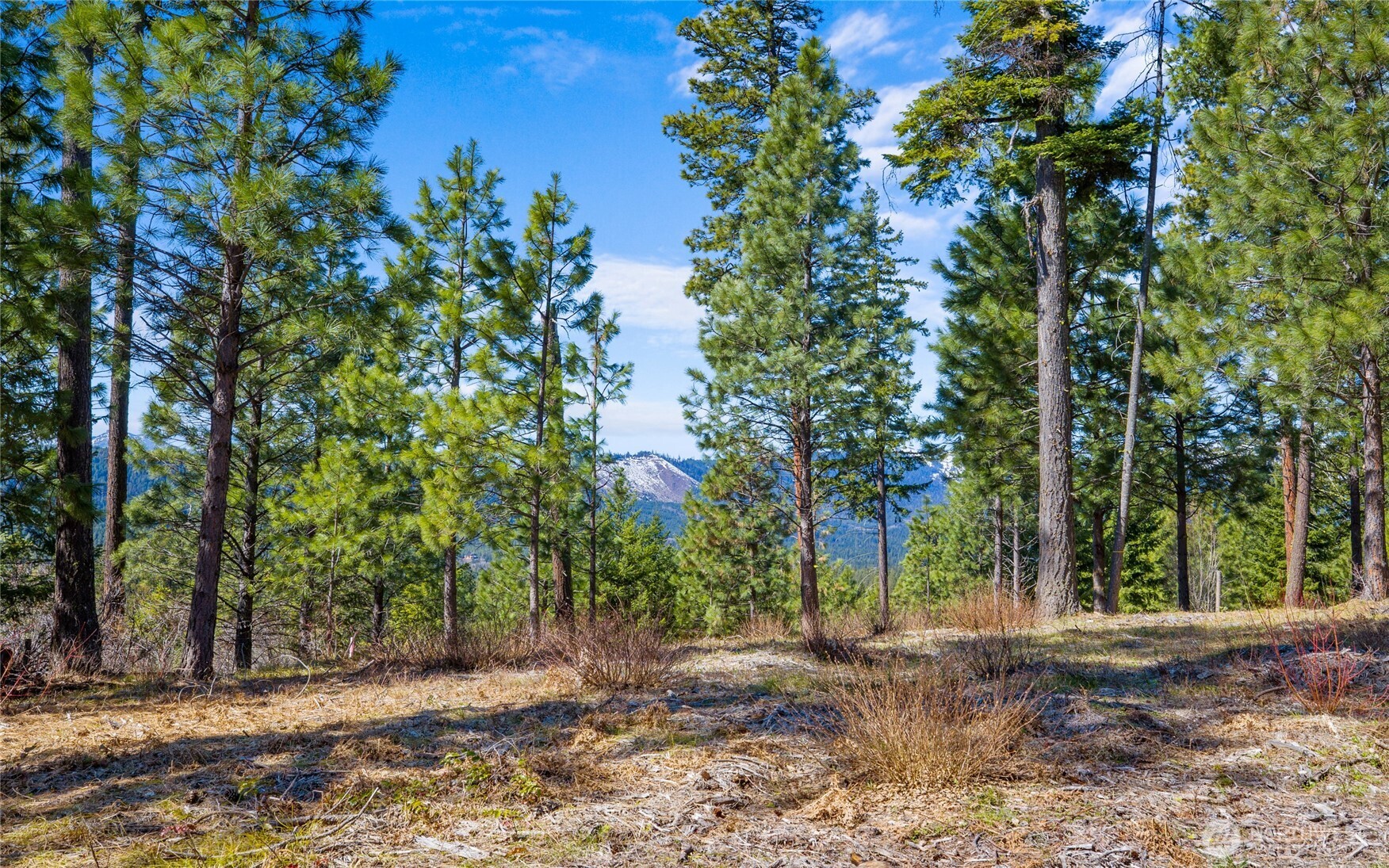10 Red Sky Way Property Photo 3