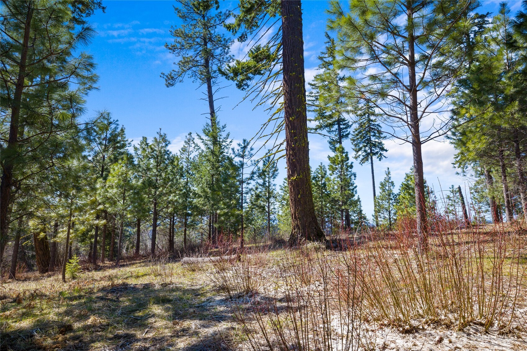 10 Red Sky Way Property Photo 4