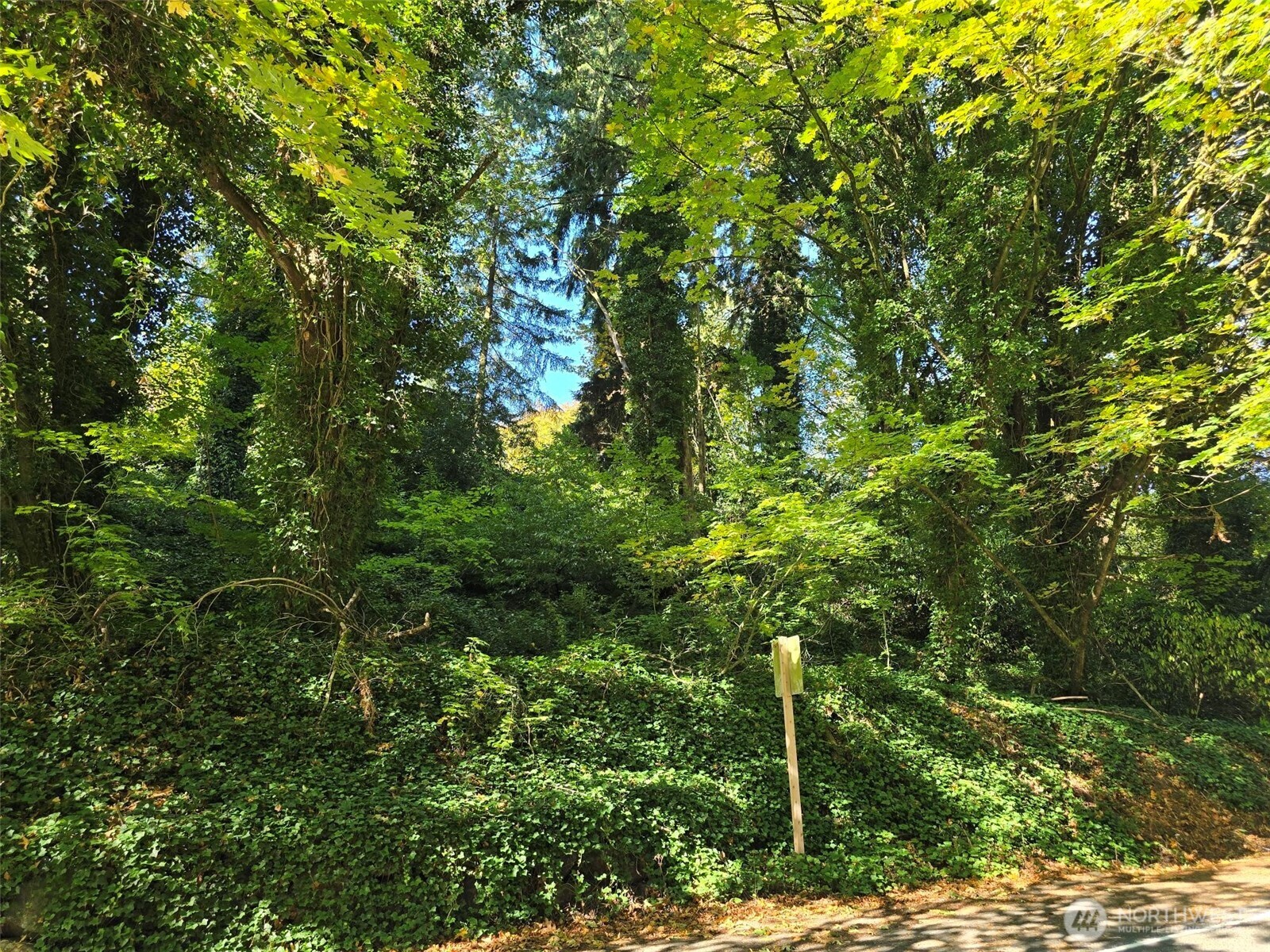 0 37th Place Property Photo 1