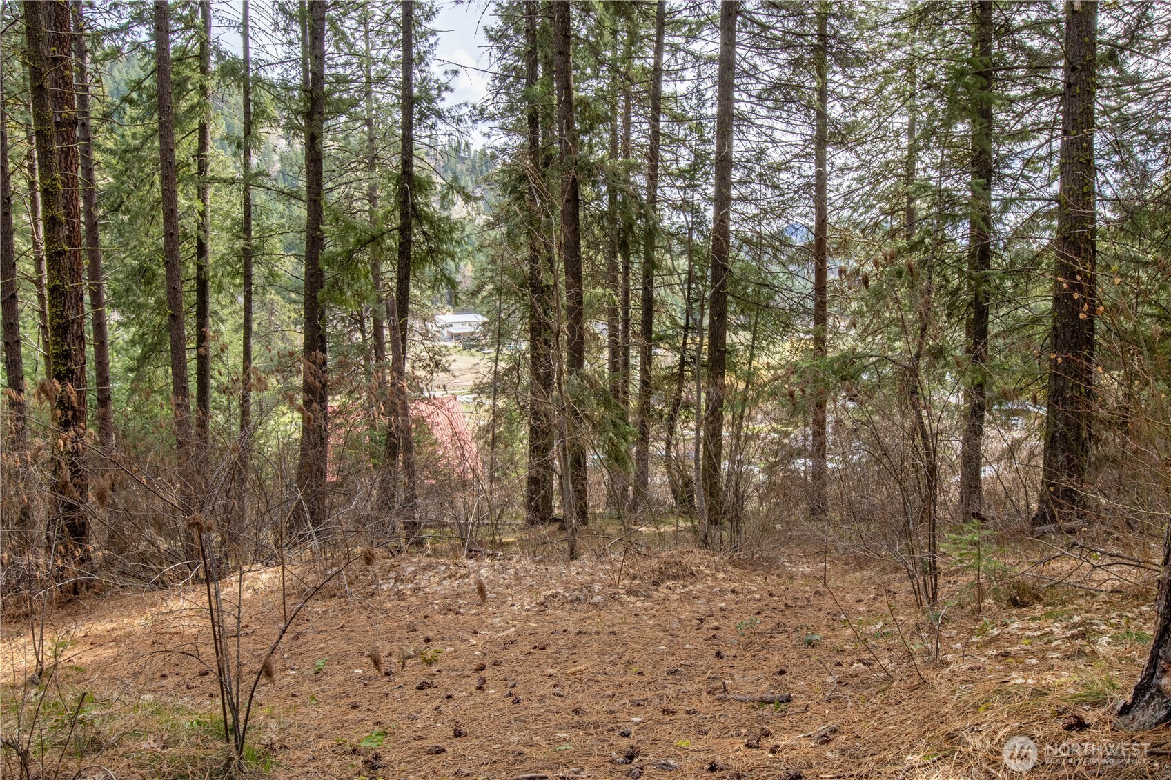1 Chumstick Highway Property Photo 2