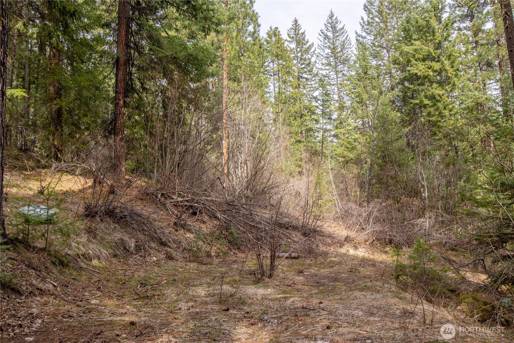 1 Chumstick Highway Property Photo 3