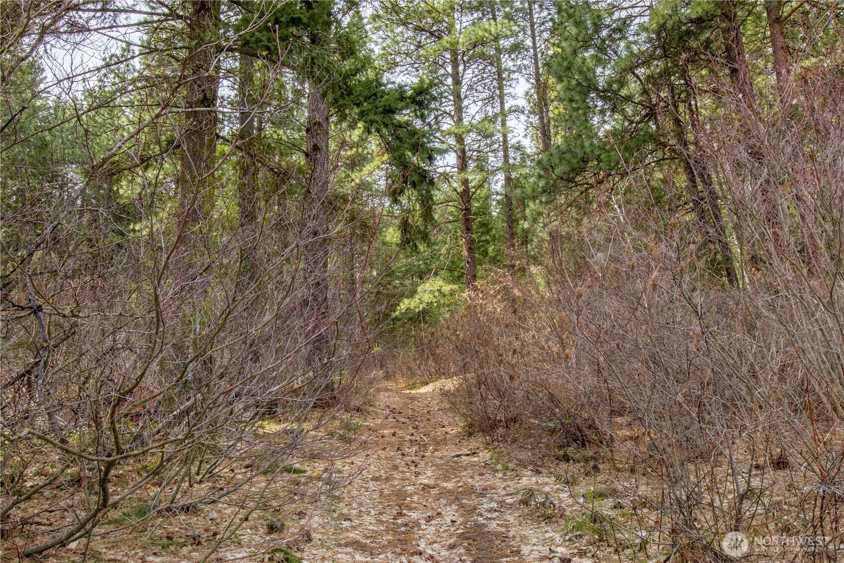 1 Chumstick Highway Property Photo 4