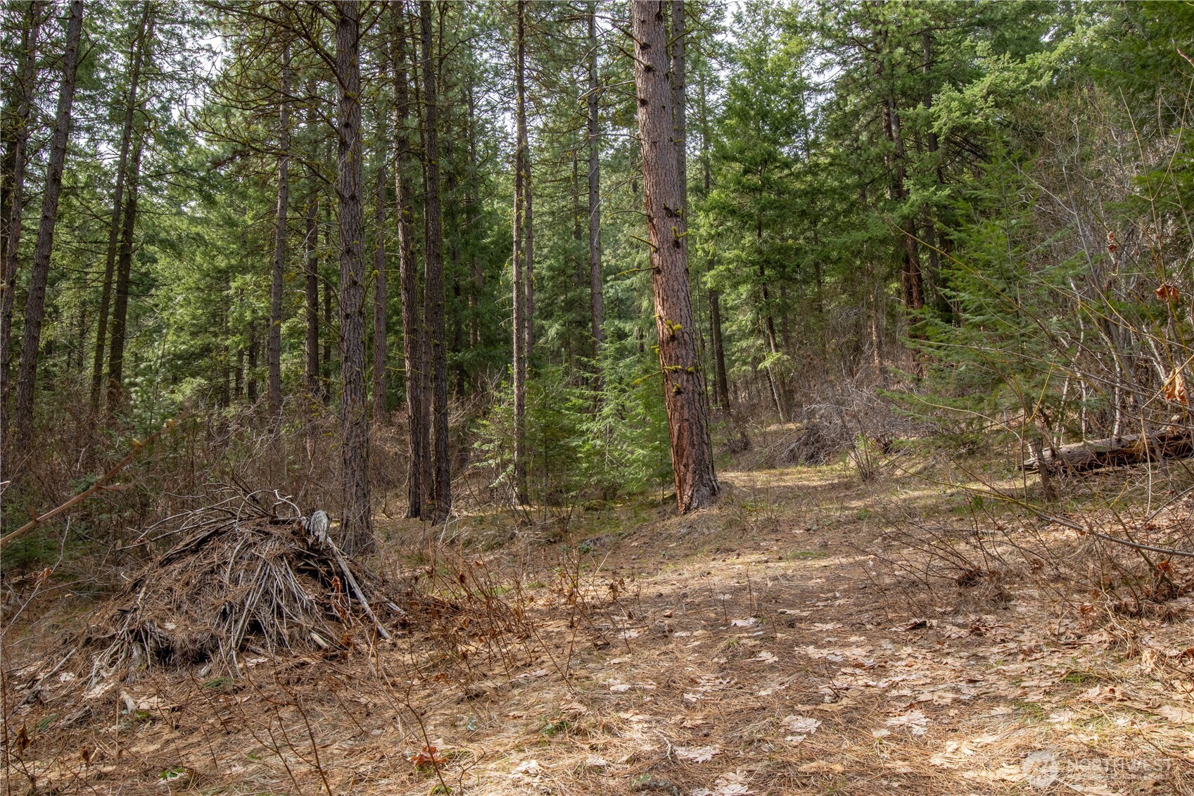 1 Chumstick Highway Property Photo 5