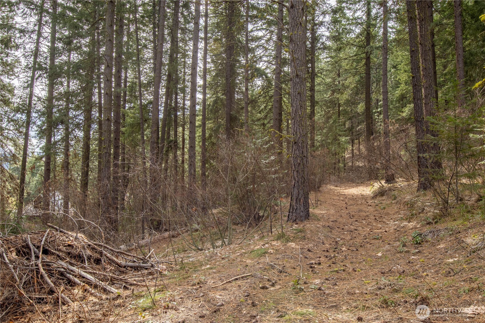 1 Chumstick Highway Property Photo 6