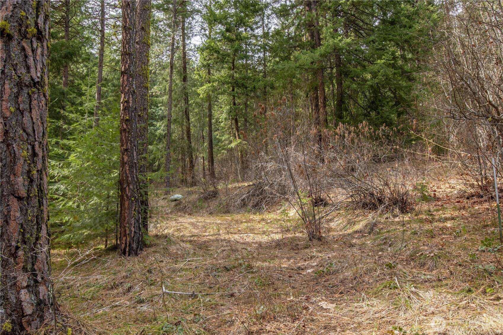 1 Chumstick Highway Property Photo 7