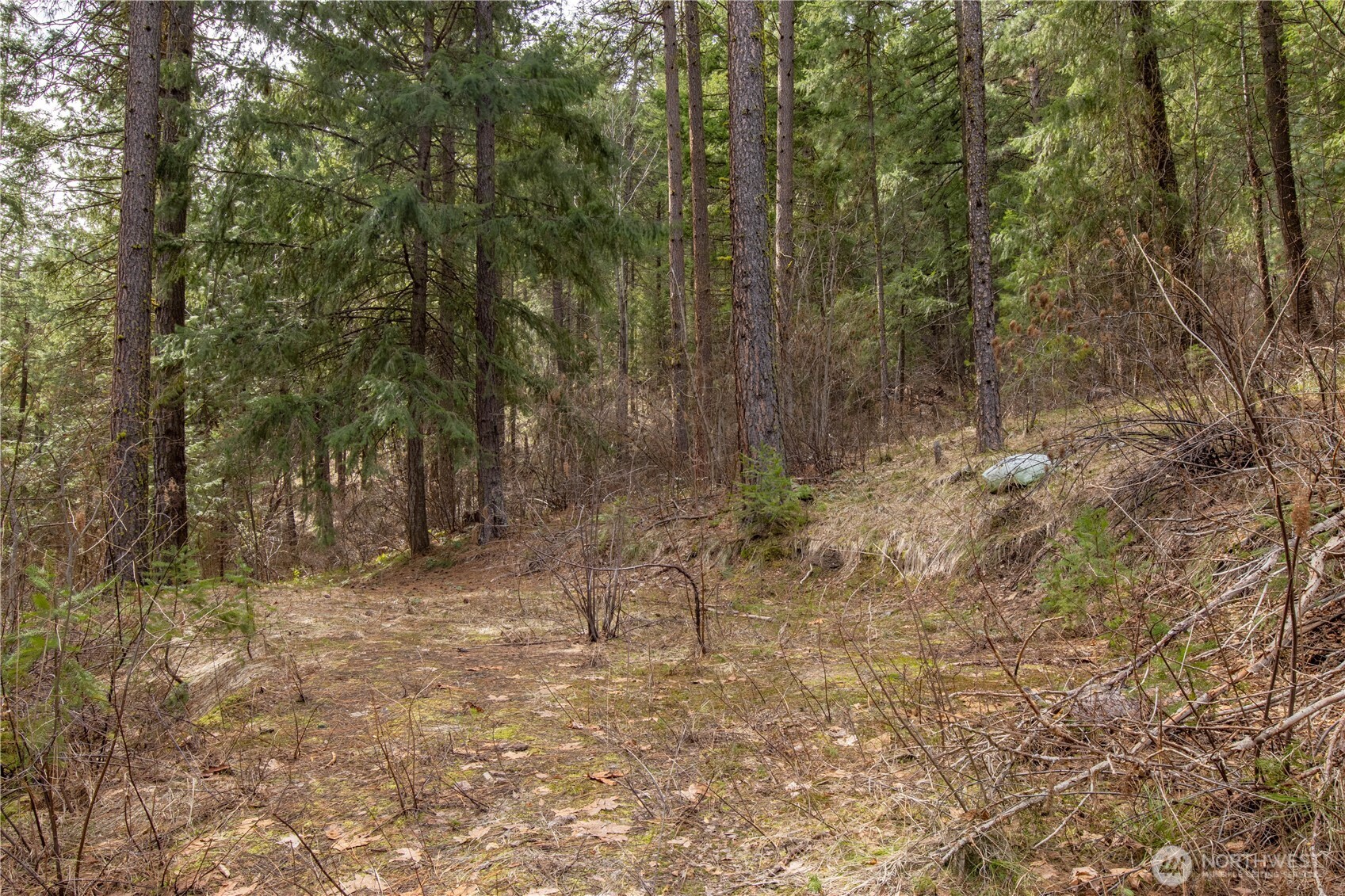 1 Chumstick Highway Property Photo 8