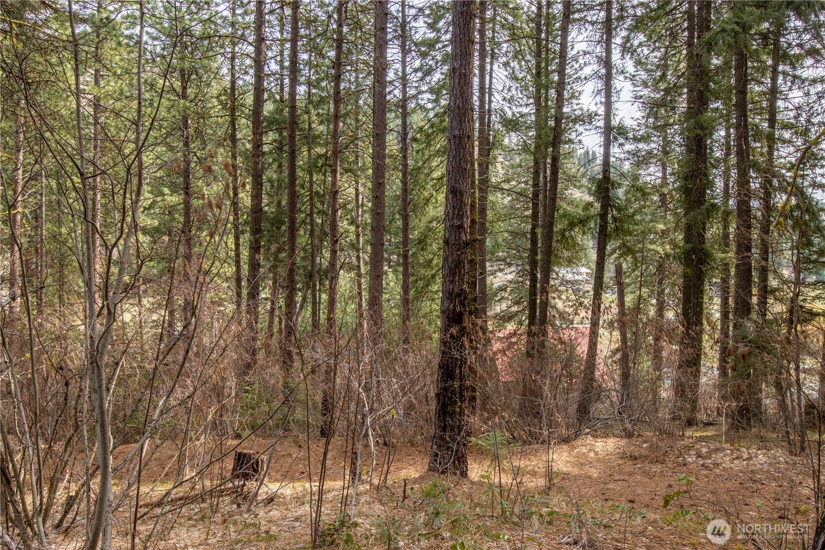 1 Chumstick Highway Property Photo 10