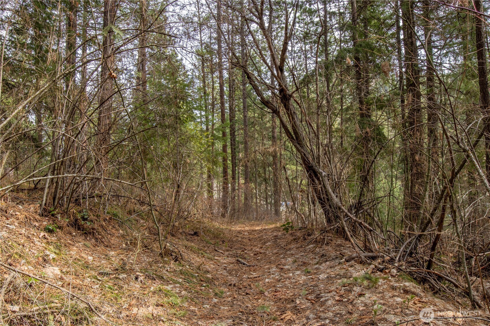 1 Chumstick Highway Property Photo 11
