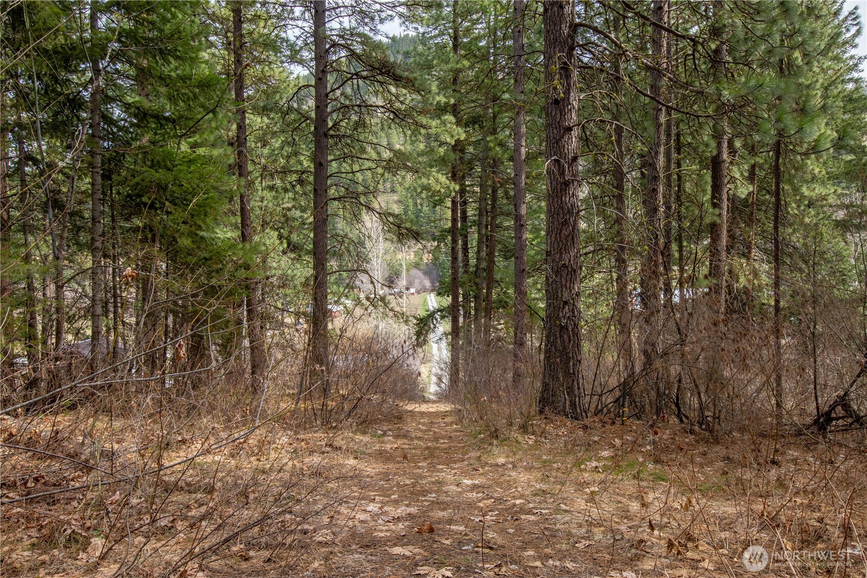 1 Chumstick Highway Property Photo 13