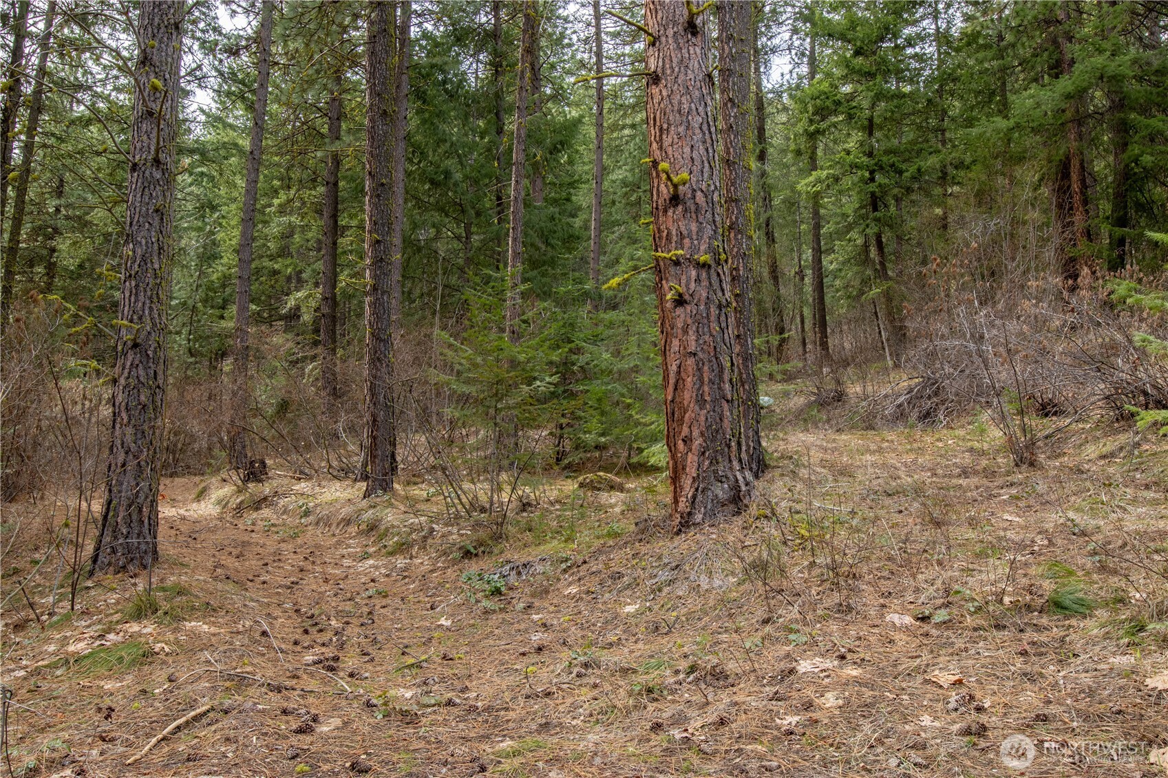 1 Chumstick Highway Property Photo 14