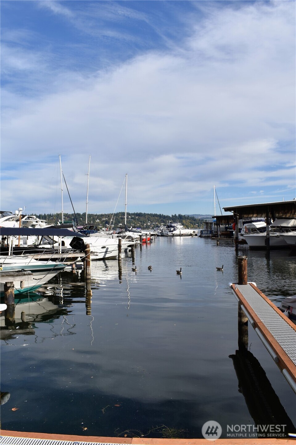 9050 Seward Park Ave 146 Property Photo 10