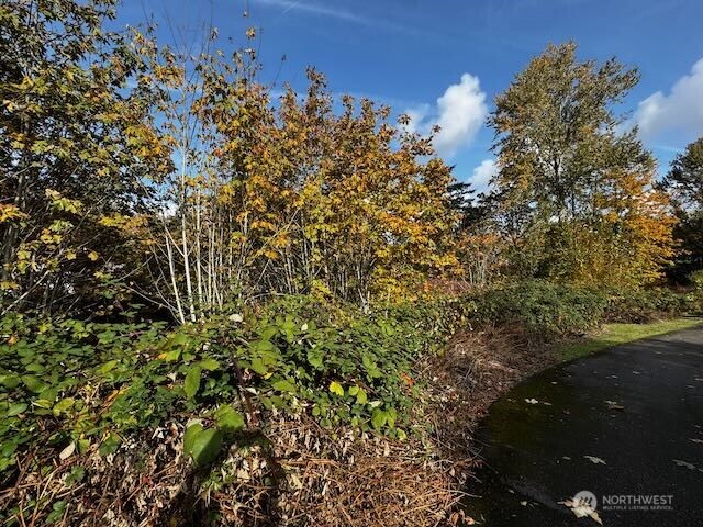 0 Military Road Property Photo 8