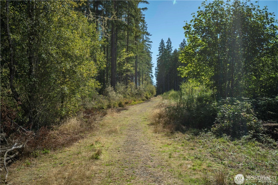 0 X 154th Avenue Property Photo 4