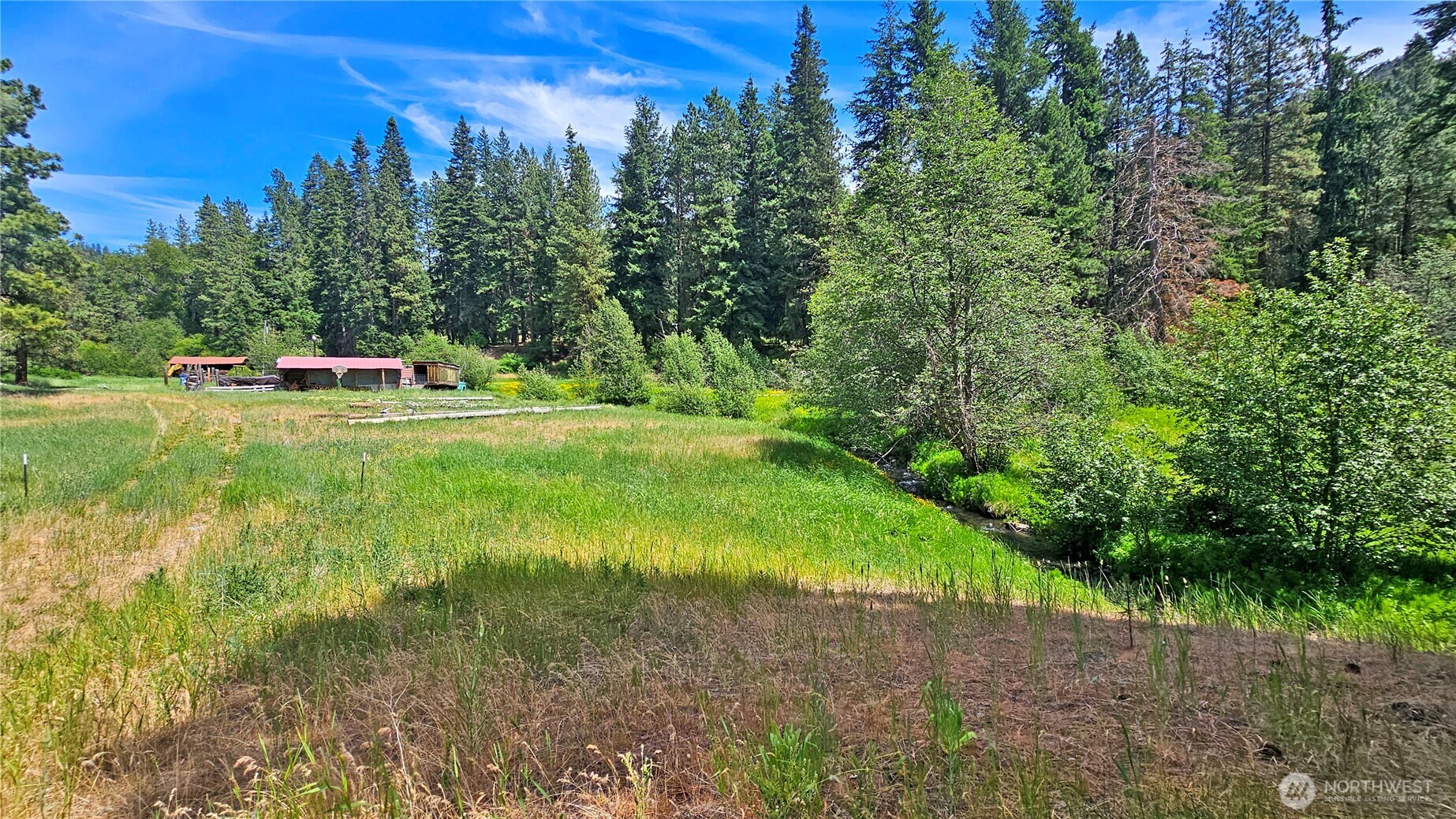 81 Williams Creek Property Photo 1