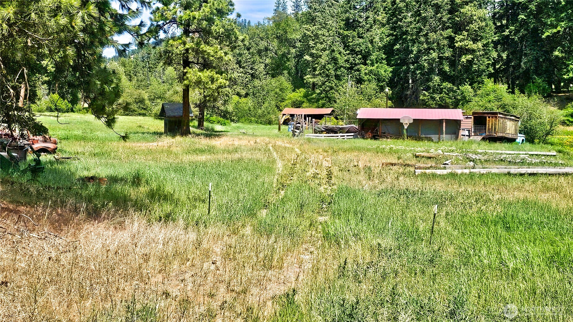 81 Williams Creek Property Photo 2