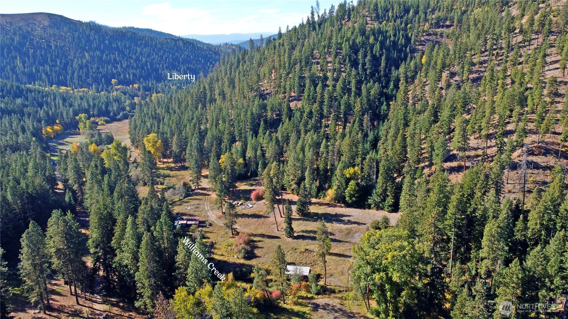 81 Williams Creek Property Photo 4