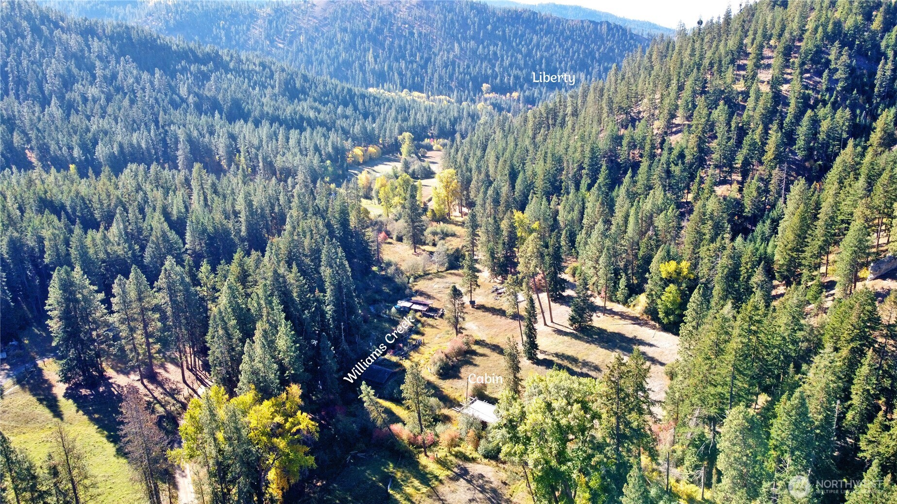 81 Williams Creek Property Photo 5