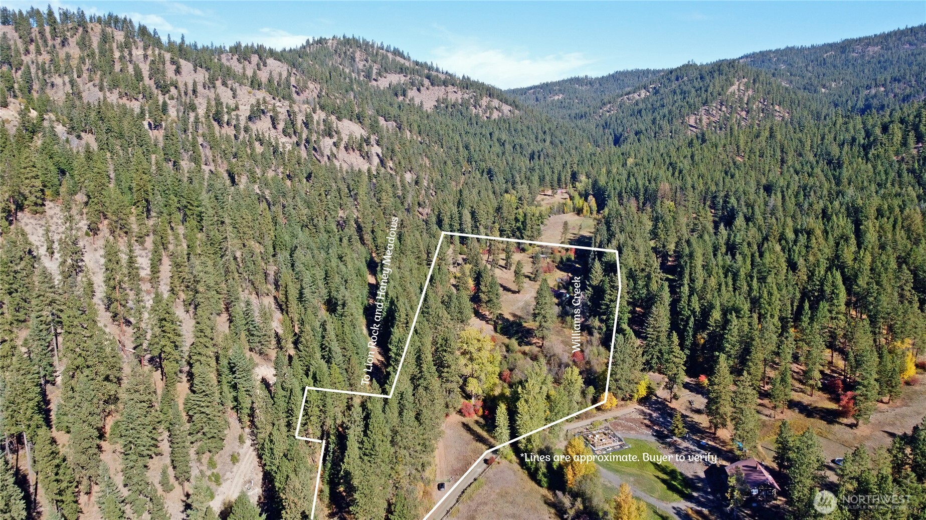 81 Williams Creek Property Photo 6
