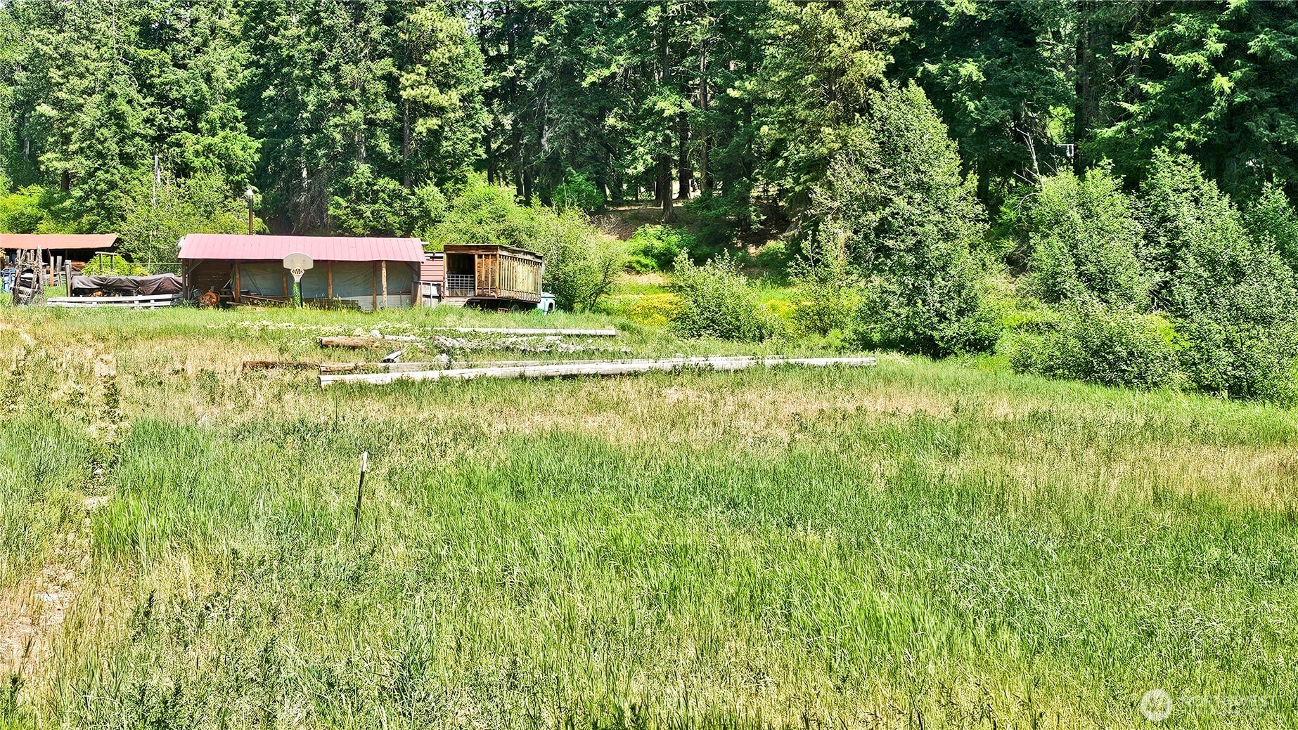 81 Williams Creek Property Photo 8