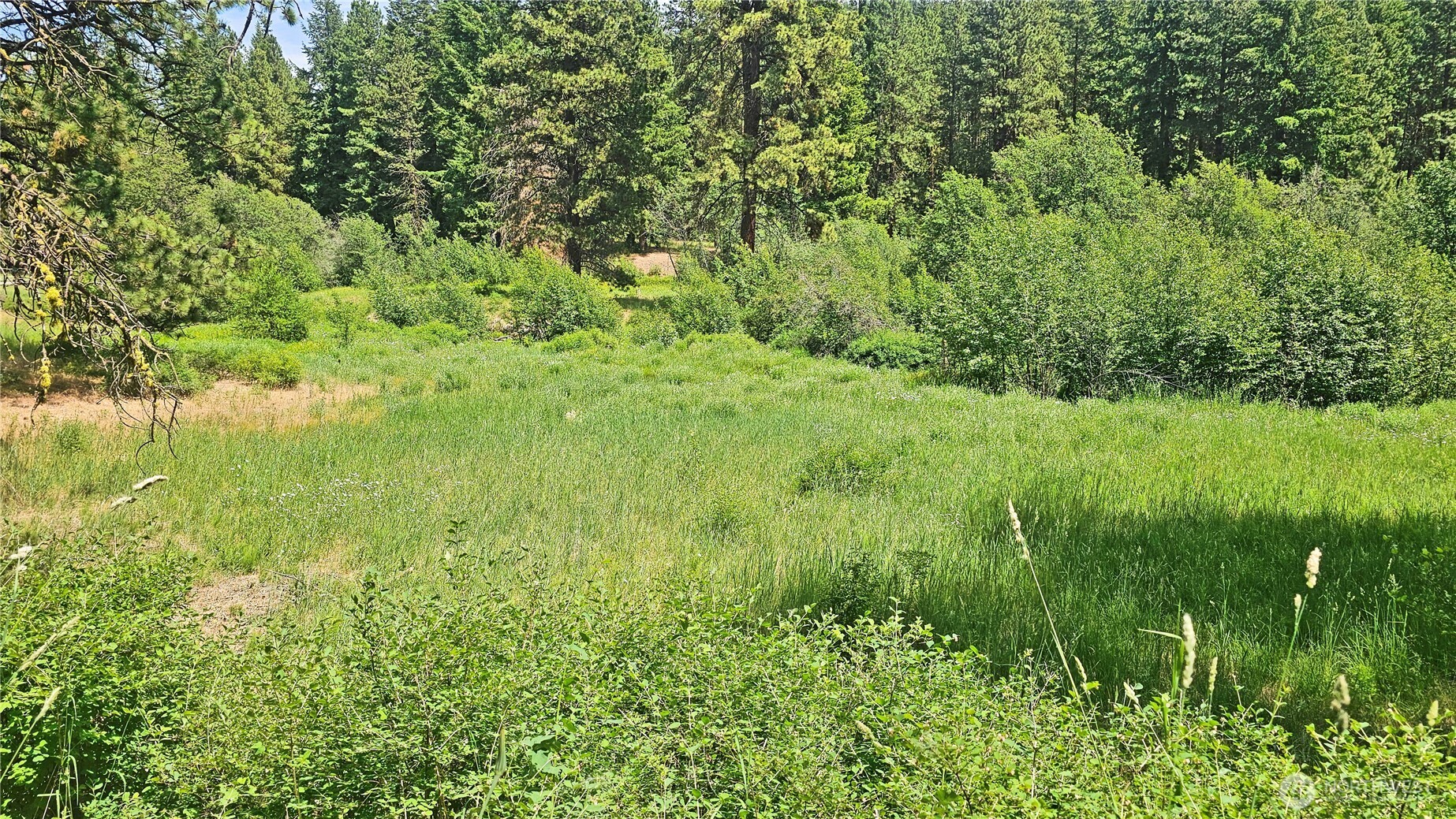 81 Williams Creek Property Photo 9