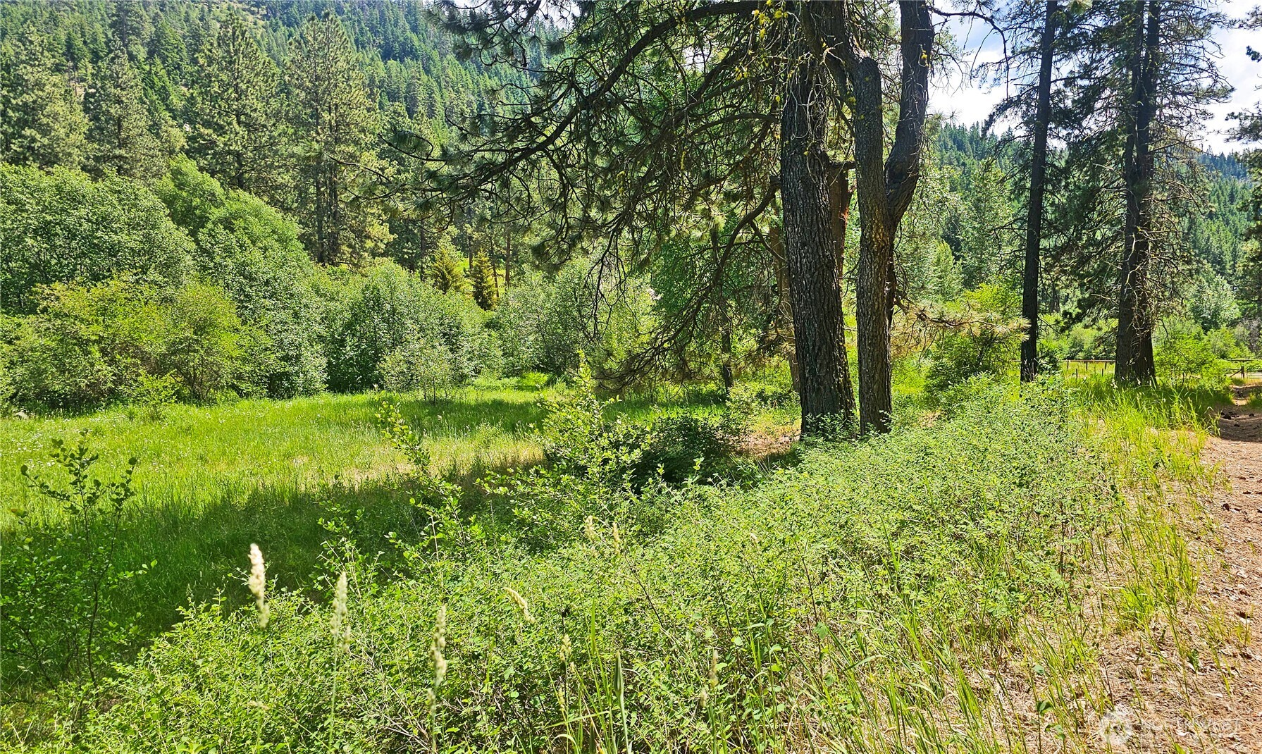 81 Williams Creek Property Photo 10