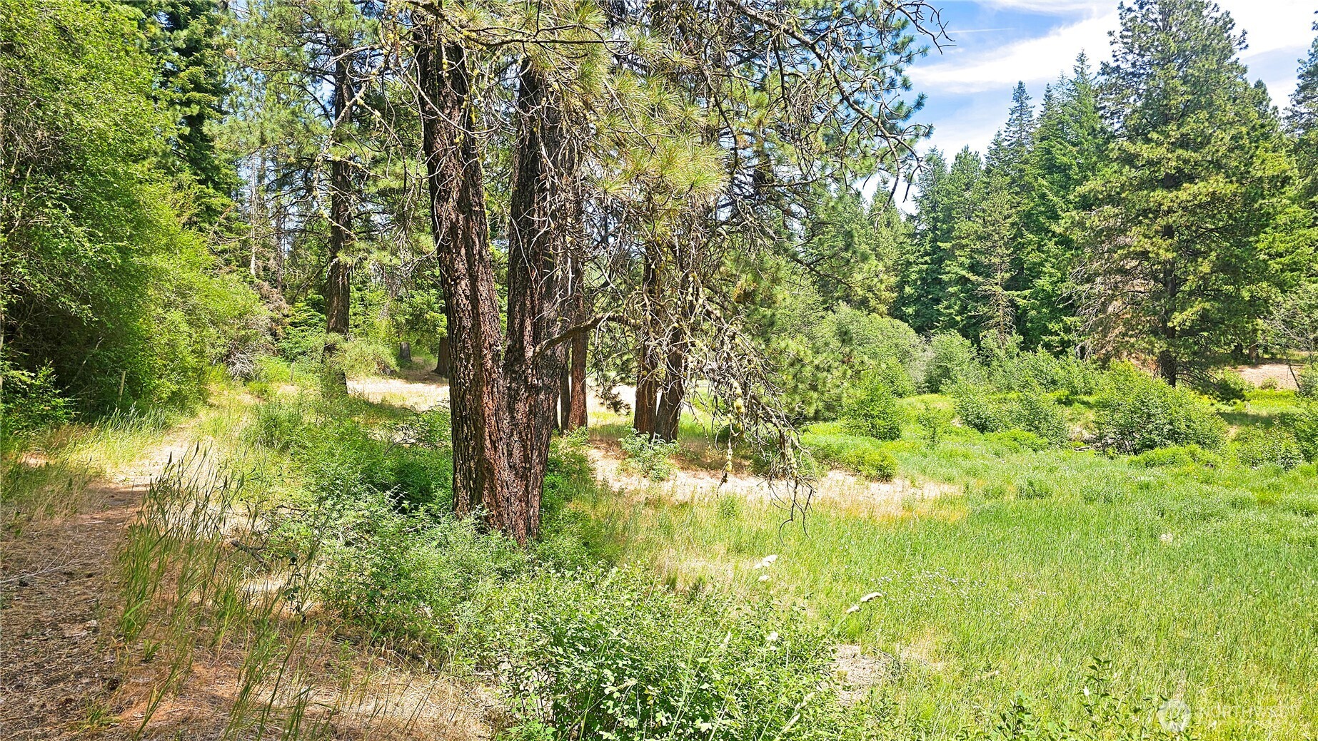 81 Williams Creek Property Photo 11