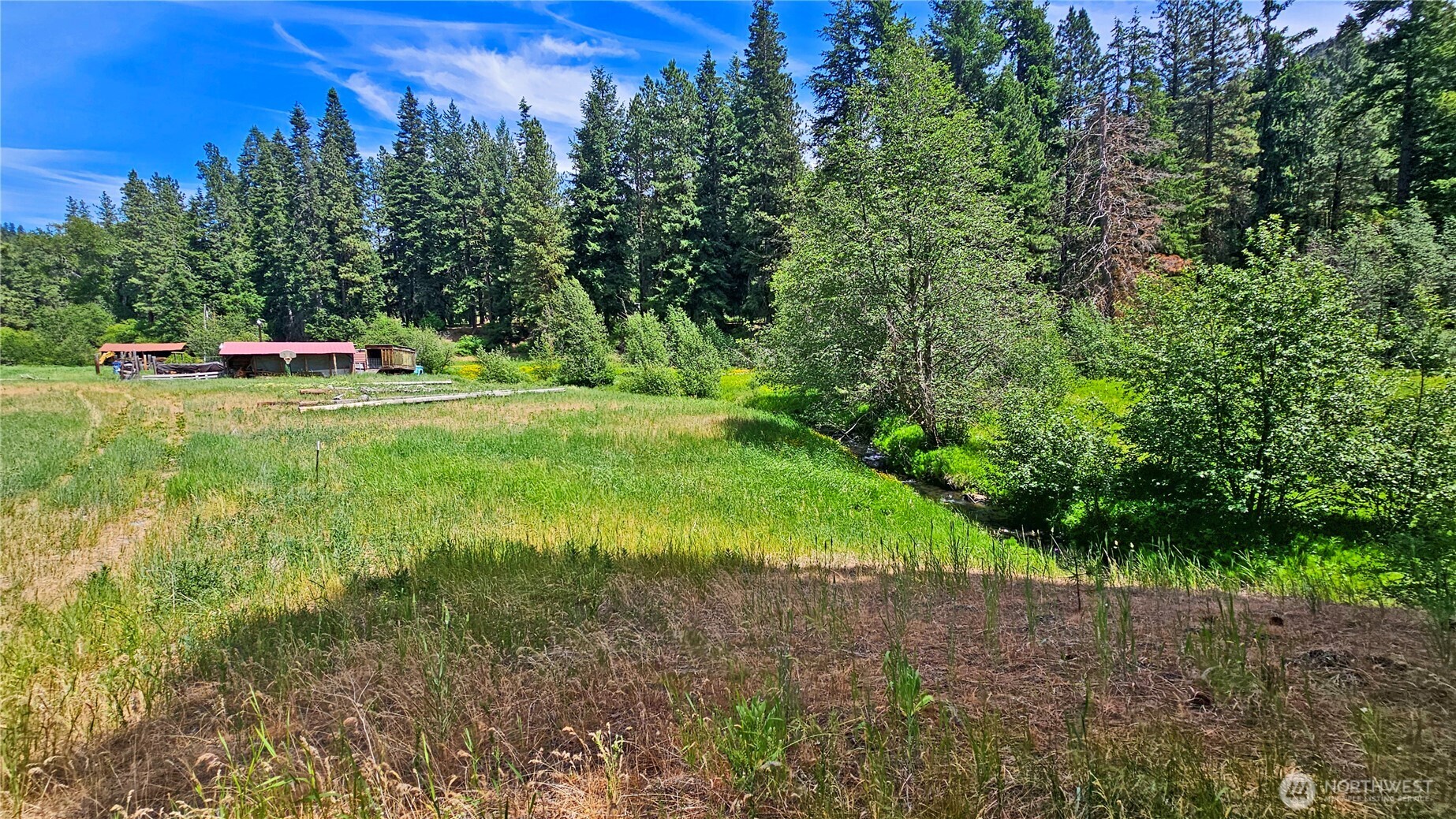 81 Williams Creek Property Photo 12