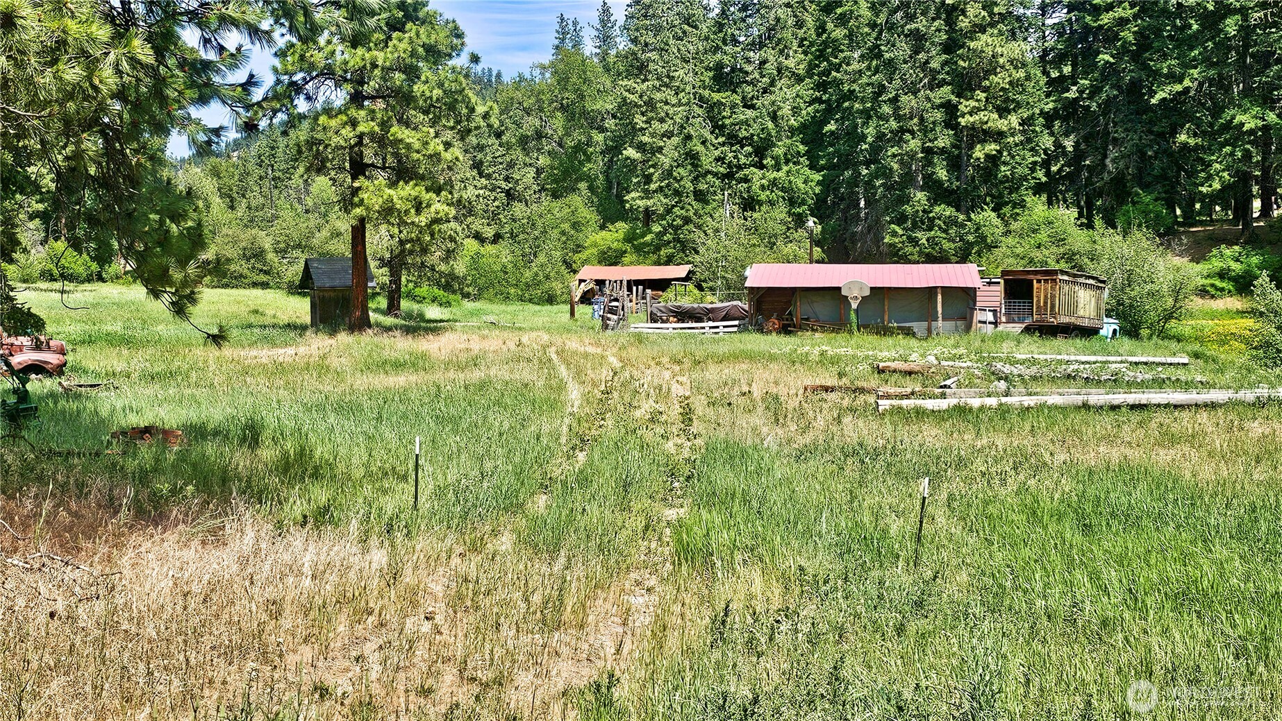 81 Williams Creek Property Photo 13
