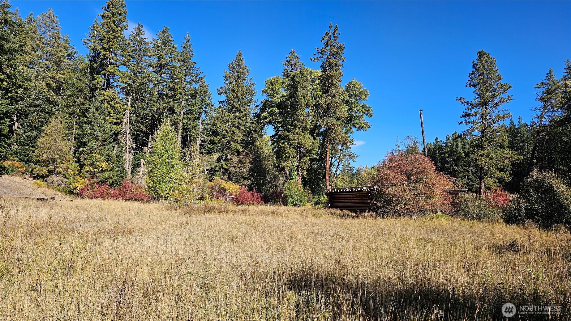 81 Williams Creek Property Photo 15