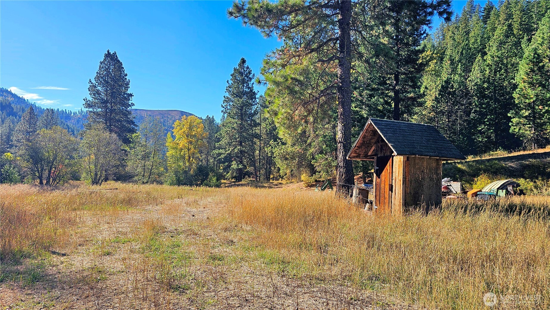 81 Williams Creek Property Photo 18