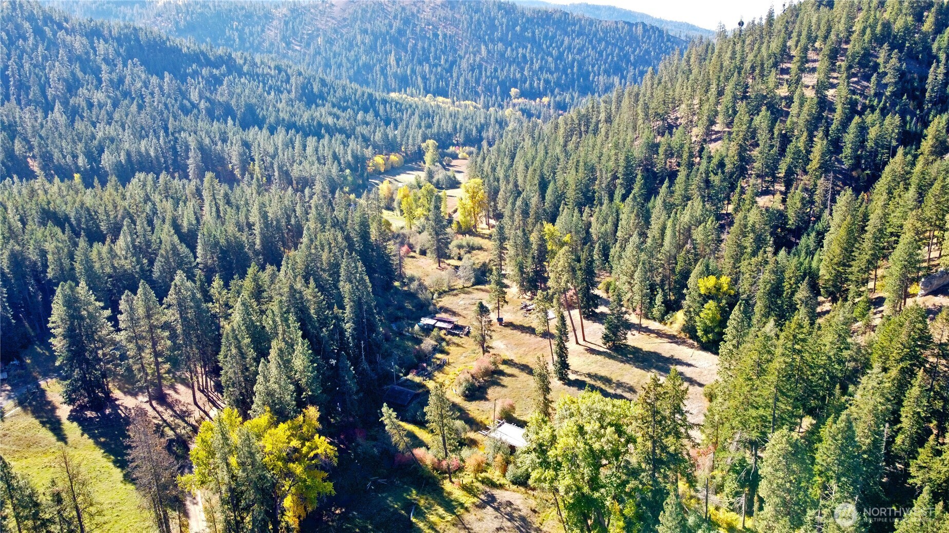 81 Williams Creek Property Photo 23