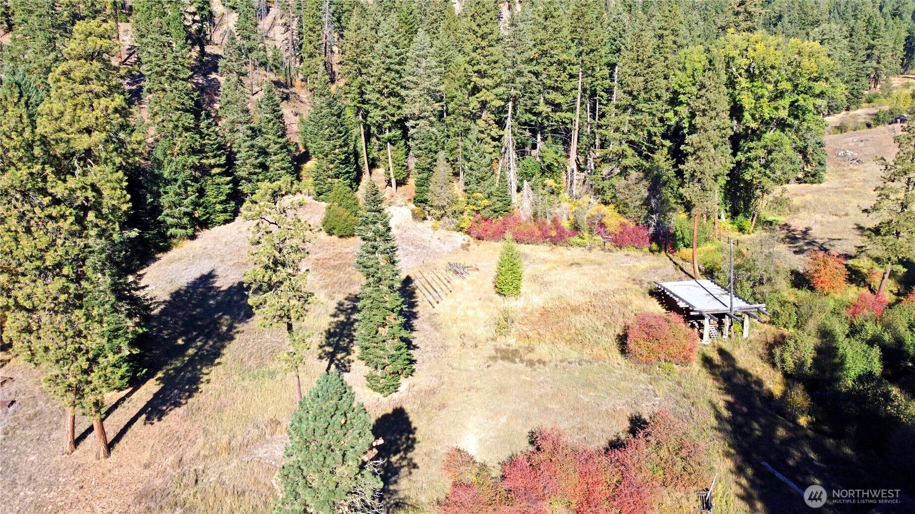 81 Williams Creek Property Photo 25