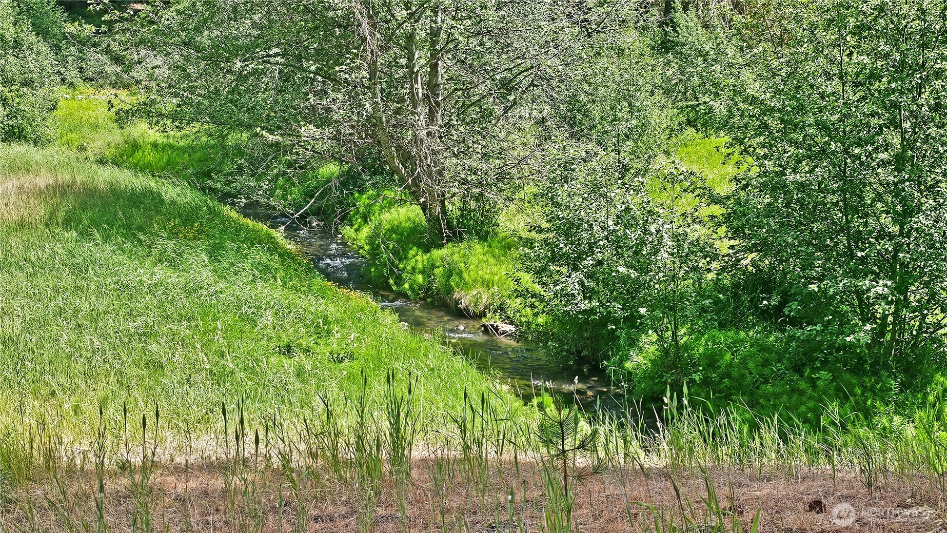 81 Williams Creek Property Photo 27