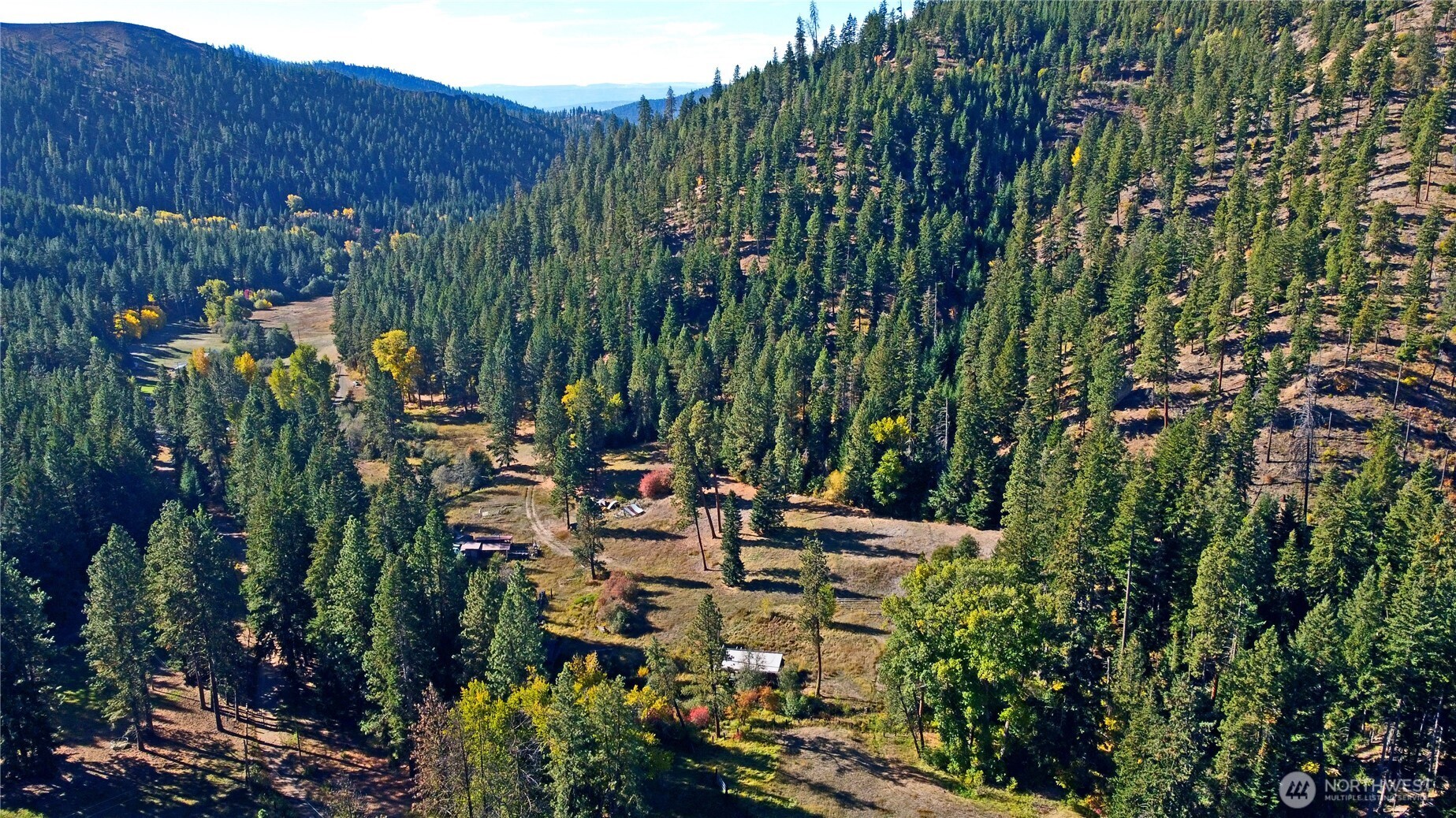 81 Williams Creek Property Photo 30
