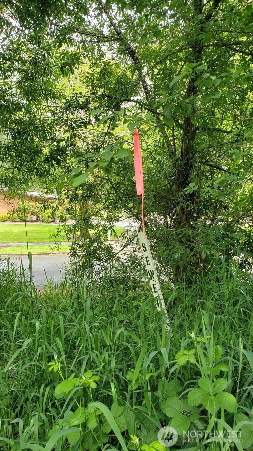 11 Xx 6th Avenue Property Photo 4
