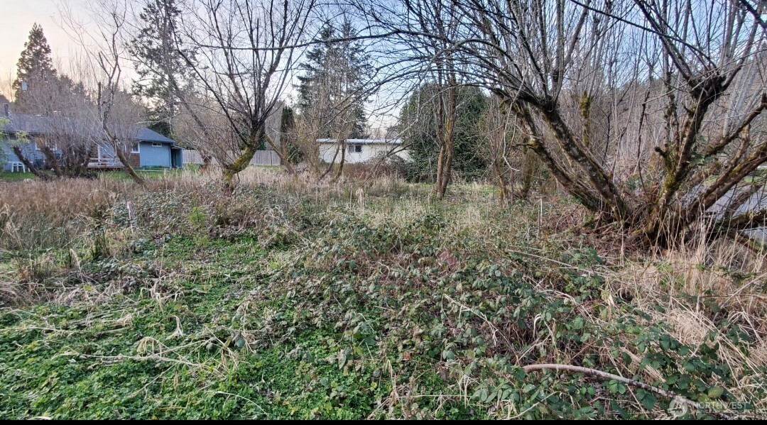11 Xx 6th Avenue Property Photo 8