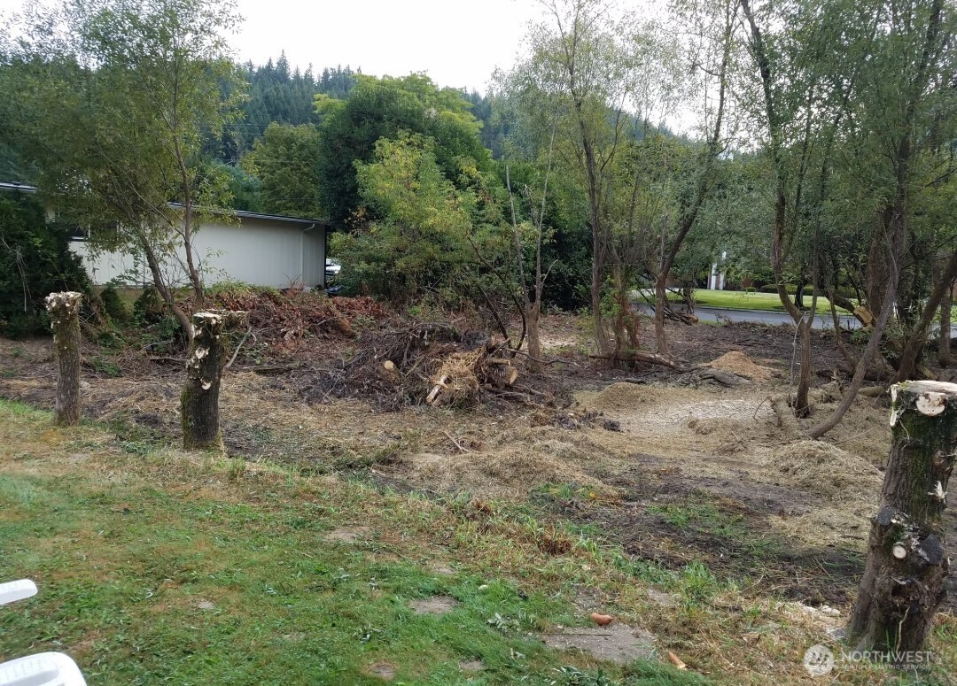 11 Xx 6th Avenue Property Photo 13