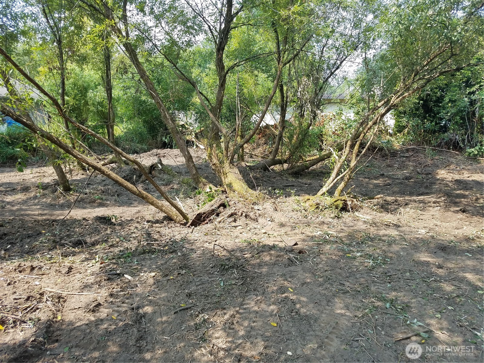 11 Xx 6th Avenue Property Photo 15