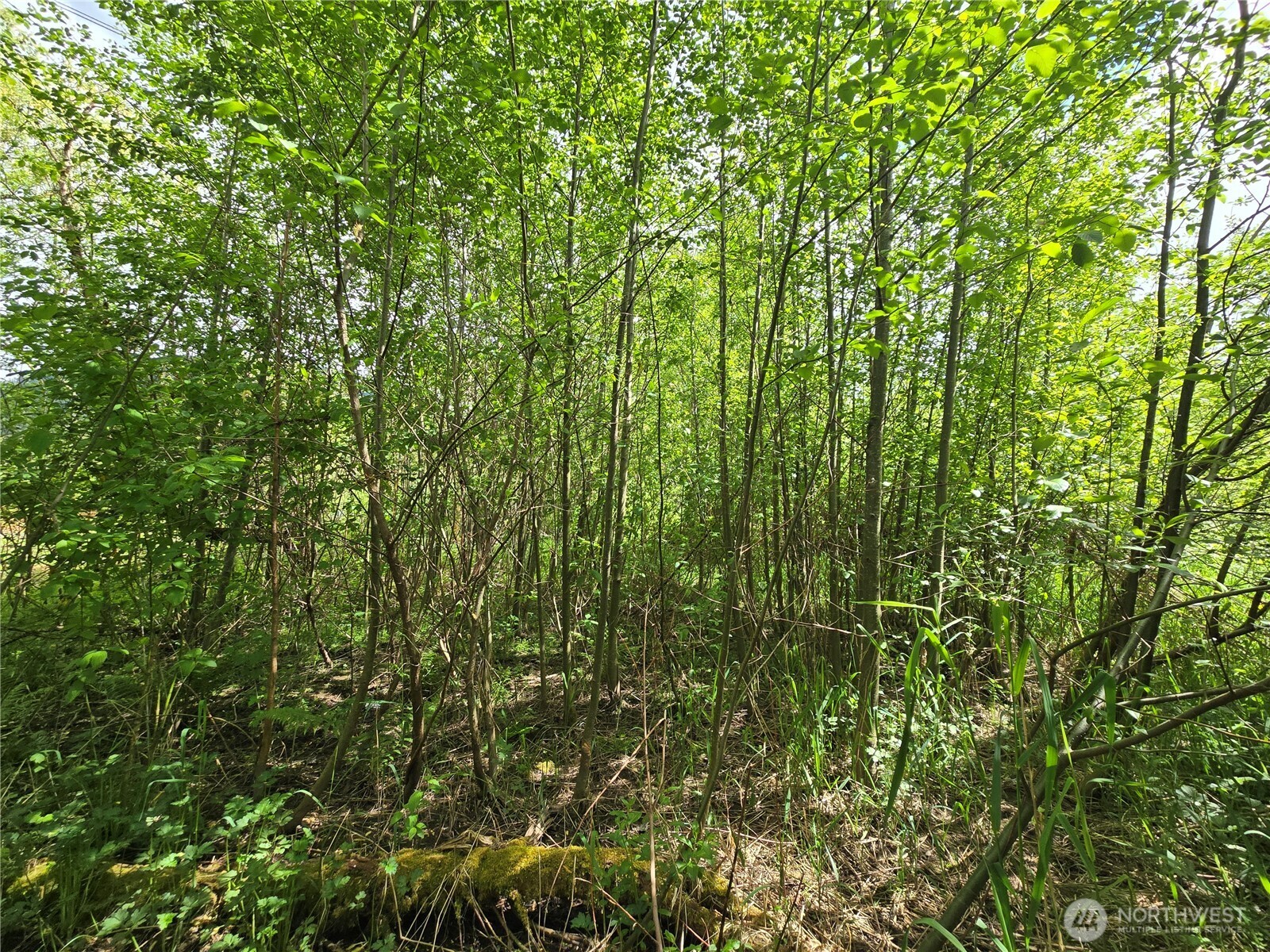 11 Xx 6th Avenue Property Photo 27