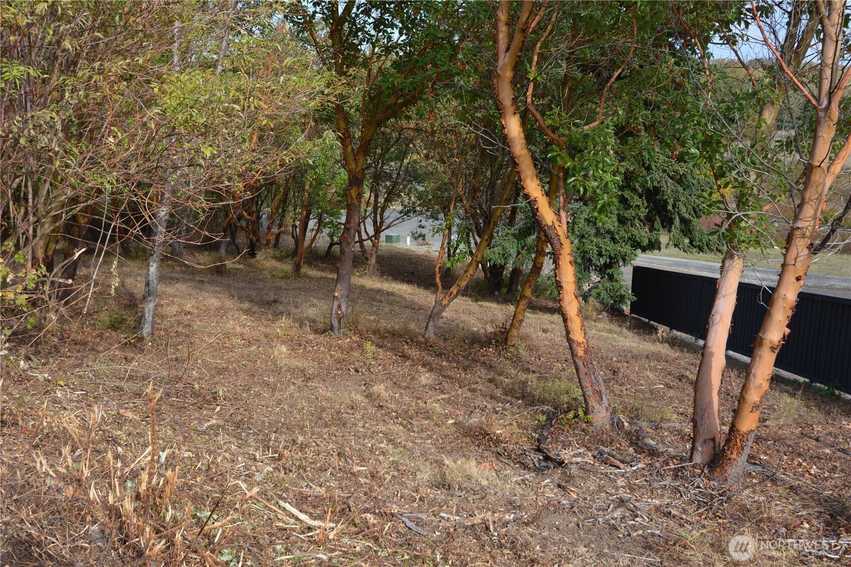 999 Moonlight Drive Property Photo 3