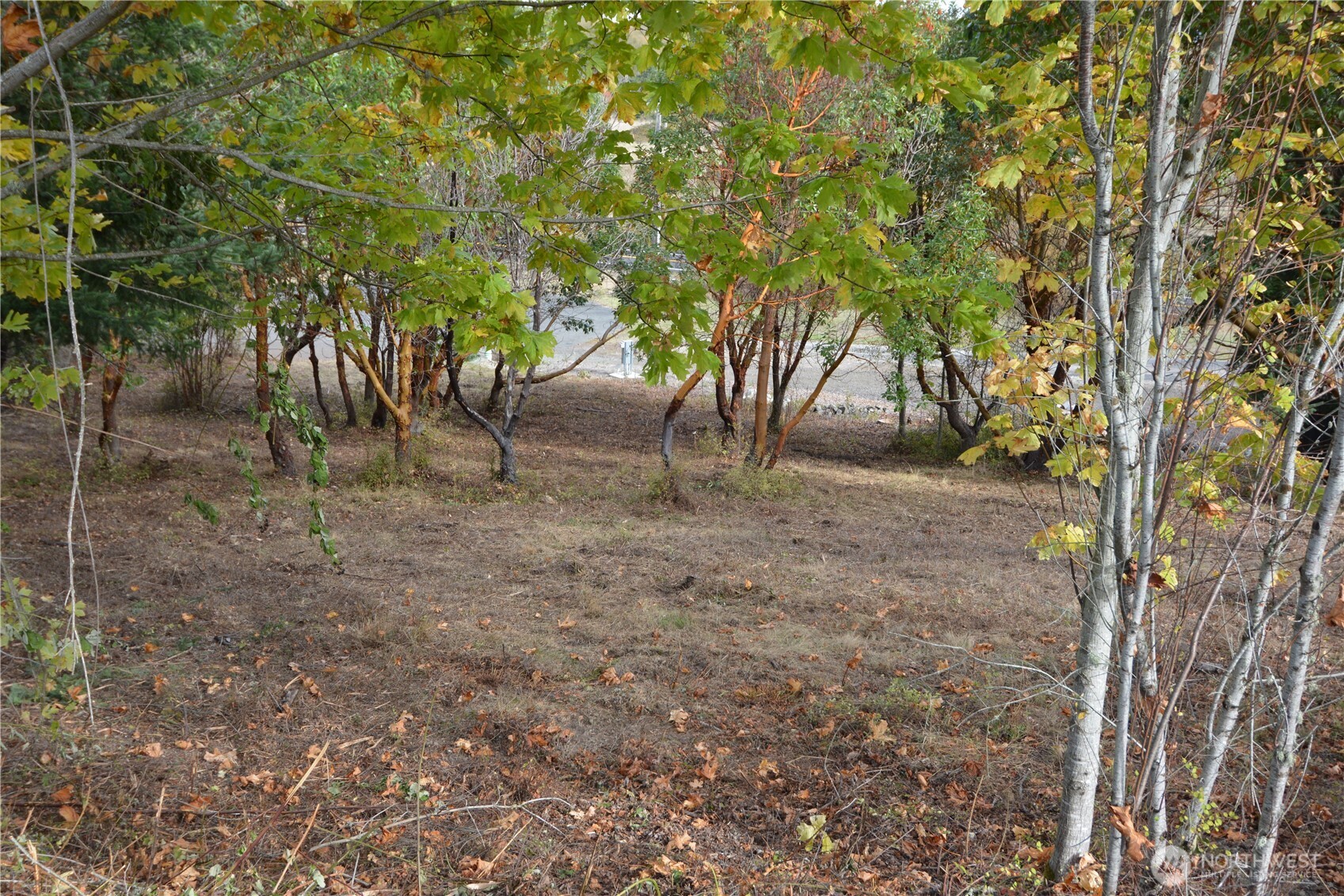 999 Moonlight Drive Property Photo 4