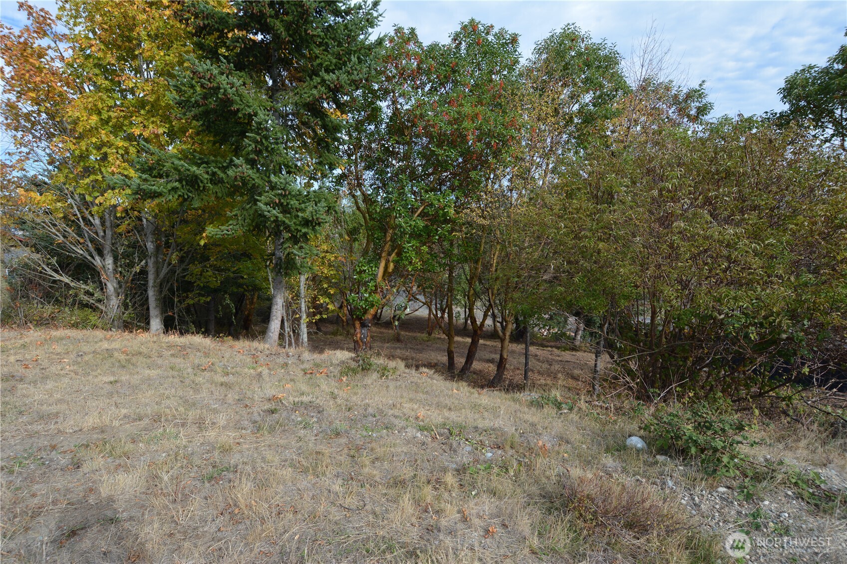 999 Moonlight Drive Property Photo 7