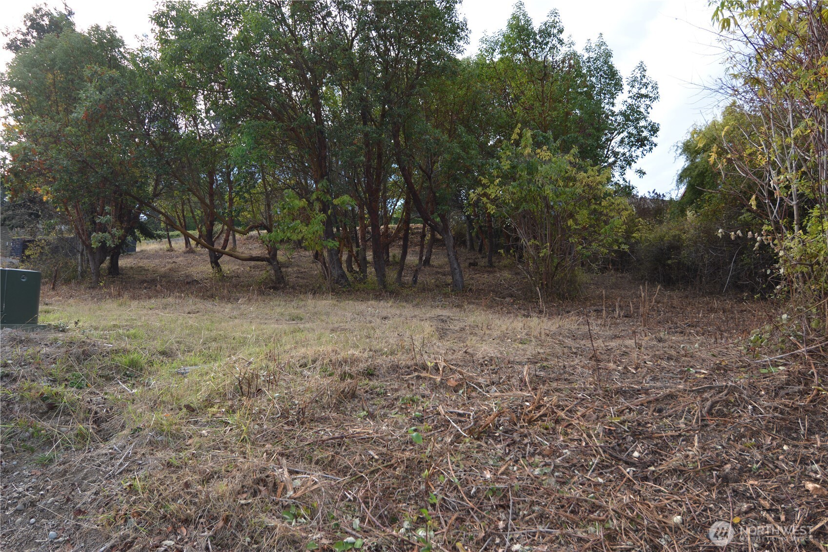 999 Moonlight Drive Property Photo 10